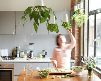 Tiestos para ‘colgar’ las plantas 